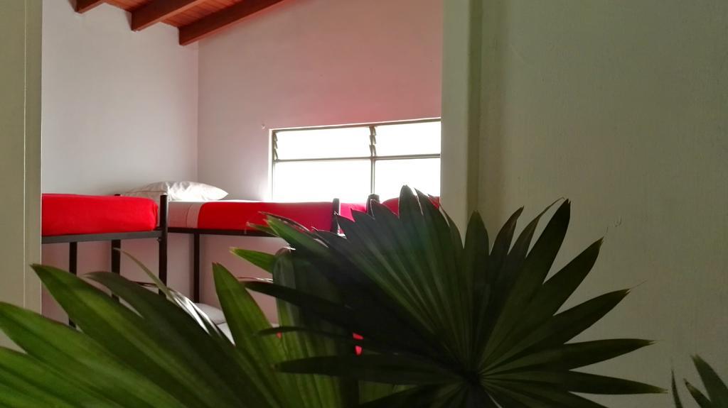 Saman Hostel Medellín Kültér fotó