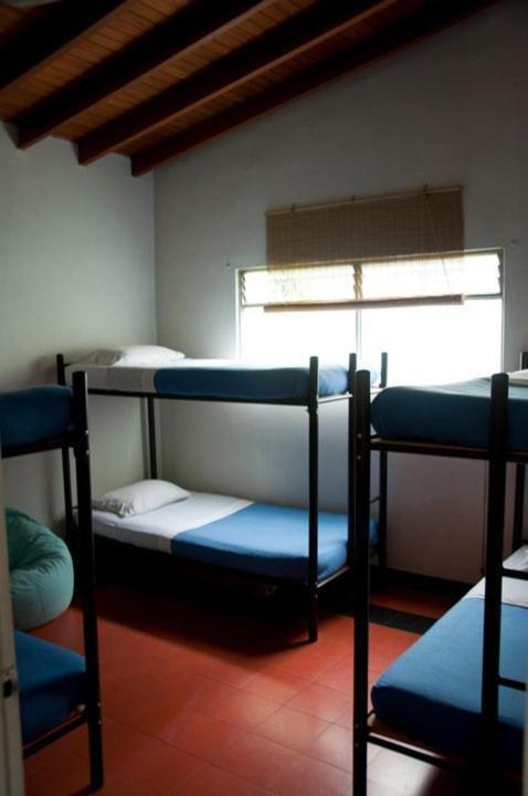 Saman Hostel Medellín Kültér fotó