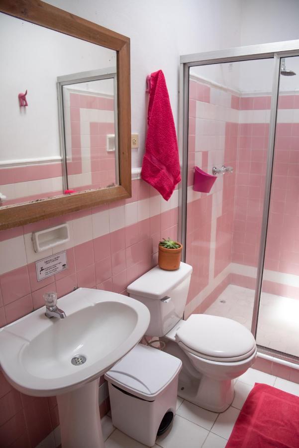 Saman Hostel Medellín Kültér fotó